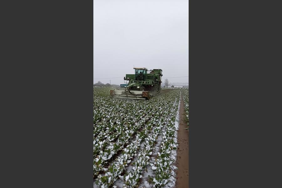 Sarl cabon marcel  - terrassement, travaux publics et agricoles