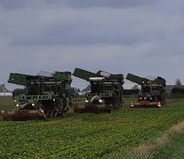 Cabon travaux agricoles saint frégan