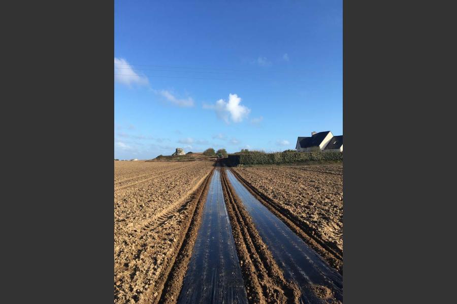 Sarl cabon marcel  - terrassement, travaux publics et agricoles