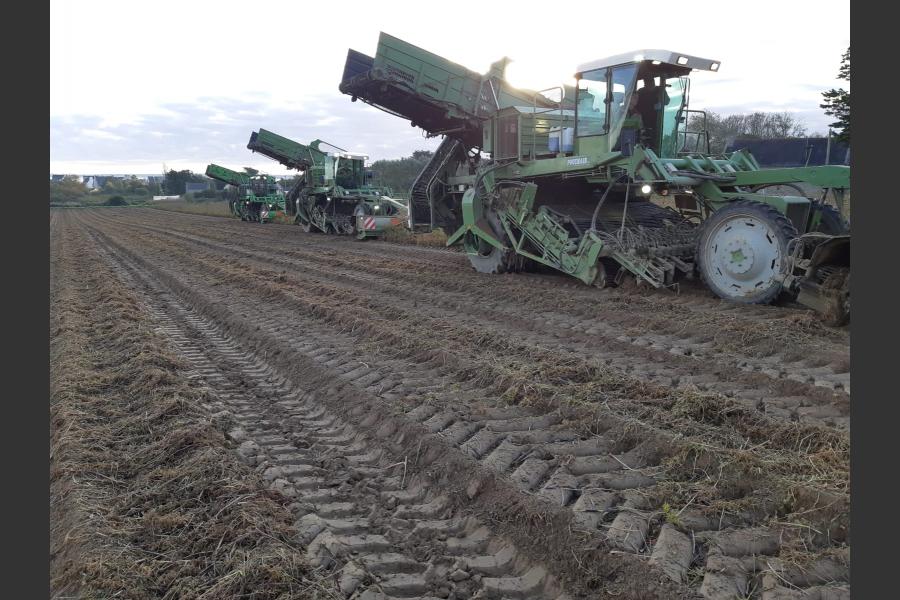 Sarl cabon marcel - terrassement, travaux publics et agricoles